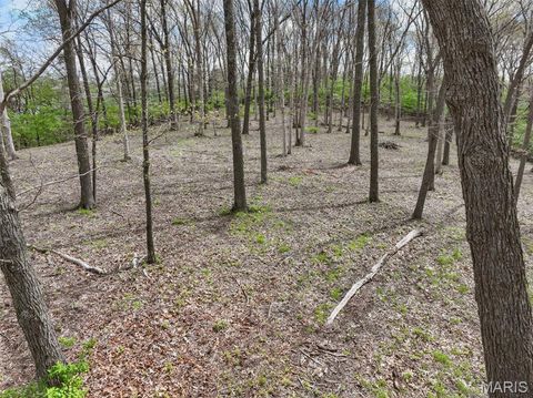 Tiny photo for 16404 Clayton Road, Wildwood, MO 63011 (MLS # 26028269)