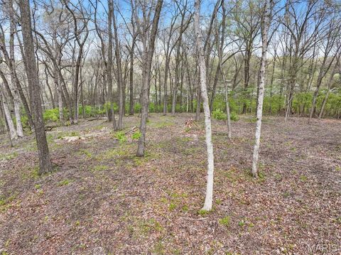 Tiny photo for 16404 Clayton Road, Wildwood, MO 63011 (MLS # 26028269)