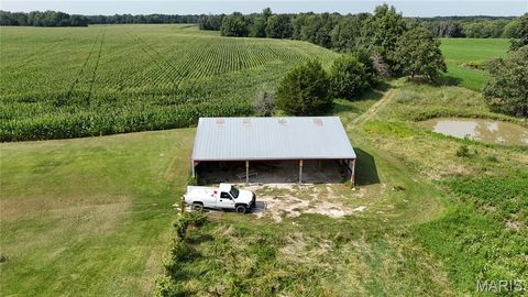 Tiny photo for 28450 Highway M, Middletown, MO 63359 (MLS # 25054742)