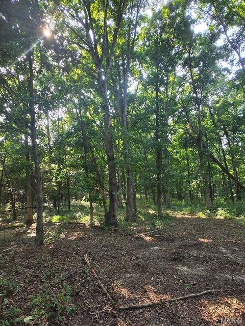 Tiny photo for 28450 Highway M, Middletown, MO 63359 (MLS # 25054742)