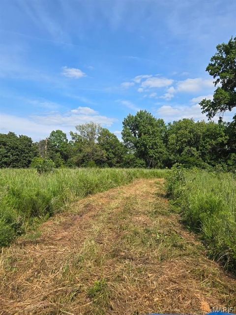 Tiny photo for 28450 Highway M, Middletown, MO 63359 (MLS # 25054742)