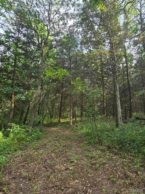 Tiny photo for 28450 Highway M, Middletown, MO 63359 (MLS # 25054742)
