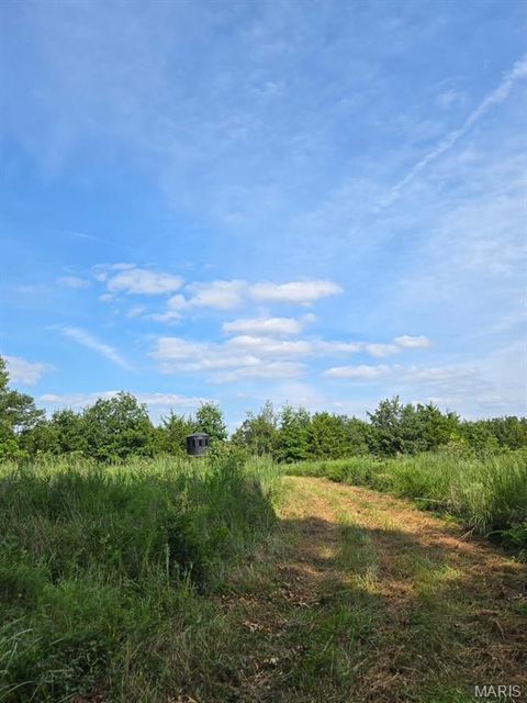 Tiny photo for 28450 Highway M, Middletown, MO 63359 (MLS # 25054742)