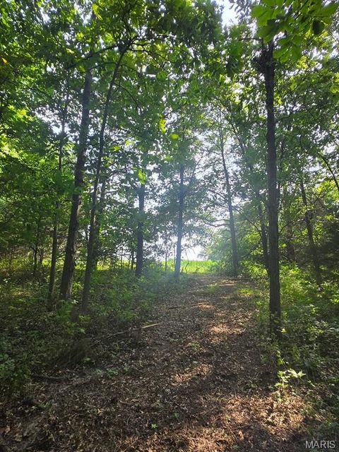 Tiny photo for 28450 Highway M, Middletown, MO 63359 (MLS # 25054742)