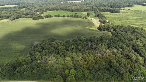 Tiny photo for 28450 Highway M, Middletown, MO 63359 (MLS # 25054742)