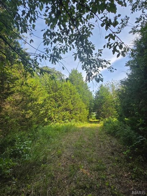 Tiny photo for 28450 Highway M, Middletown, MO 63359 (MLS # 25054742)