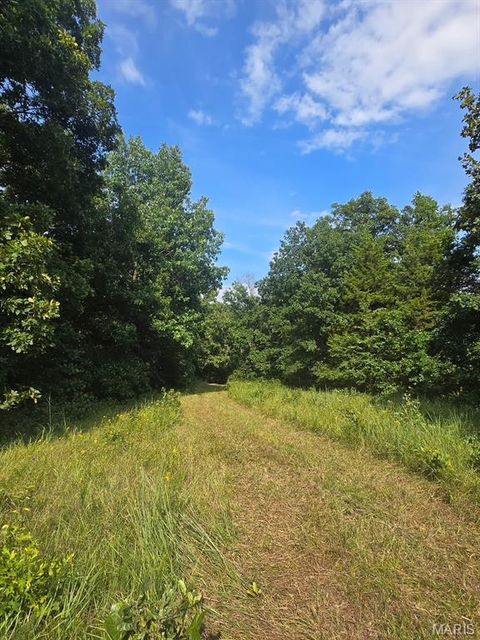 Tiny photo for 28450 Highway M, Middletown, MO 63359 (MLS # 25054742)