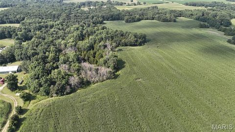 Tiny photo for 28450 Highway M, Middletown, MO 63359 (MLS # 25054742)