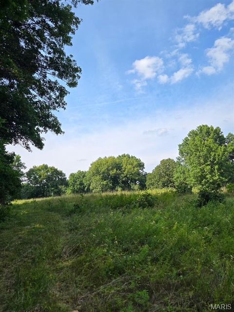 Tiny photo for 28450 Highway M, Middletown, MO 63359 (MLS # 25054742)