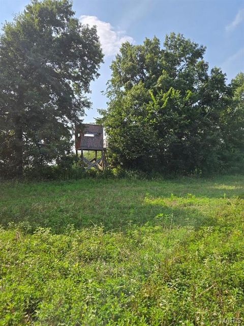 Tiny photo for 28450 Highway M, Middletown, MO 63359 (MLS # 25054742)