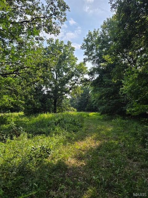 Tiny photo for 28450 Highway M, Middletown, MO 63359 (MLS # 25054742)