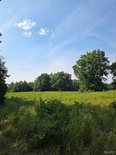 Tiny photo for 28450 Highway M, Middletown, MO 63359 (MLS # 25054742)
