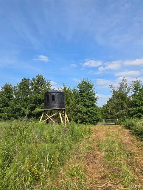 Tiny photo for 28450 Highway M, Middletown, MO 63359 (MLS # 25054742)