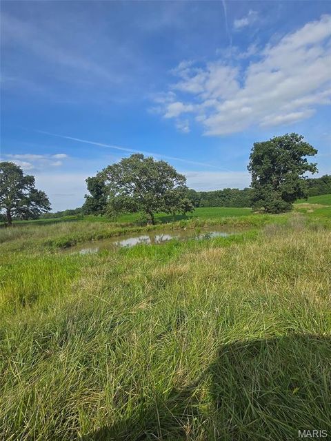 Tiny photo for 28450 Highway M, Middletown, MO 63359 (MLS # 25054742)