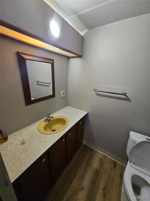 Tiny photo for 28450 Highway M, Middletown, MO 63359 (MLS # 25054742)