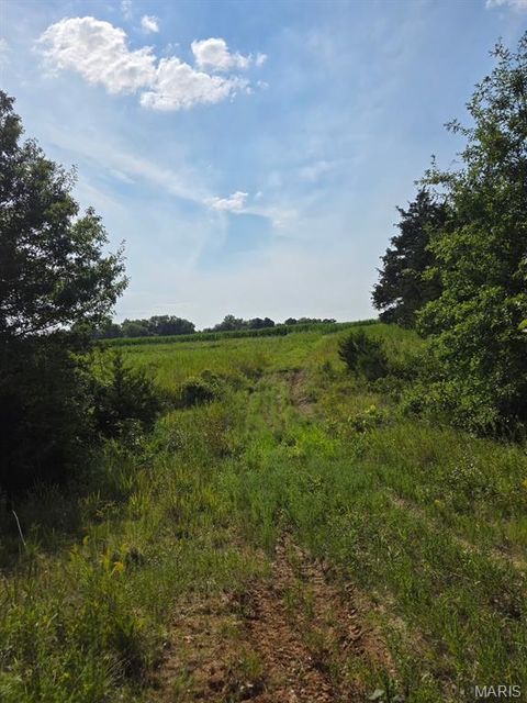 Tiny photo for 28450 Highway M, Middletown, MO 63359 (MLS # 25054742)