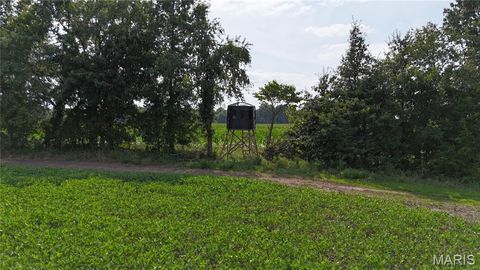 Tiny photo for 28450 Highway M, Middletown, MO 63359 (MLS # 25054742)