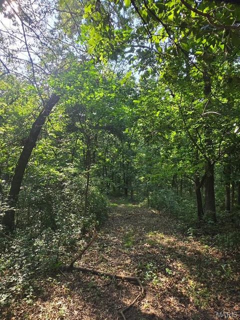 Tiny photo for 28450 Highway M, Middletown, MO 63359 (MLS # 25054742)