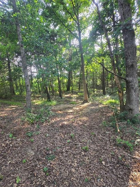 Tiny photo for 28450 Highway M, Middletown, MO 63359 (MLS # 25054742)