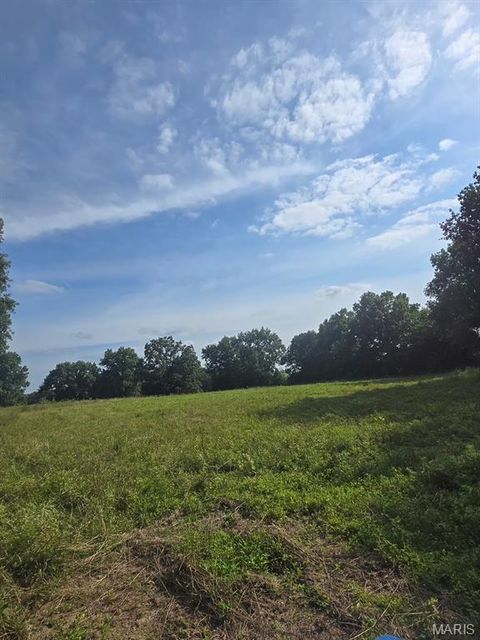 Tiny photo for 28450 Highway M, Middletown, MO 63359 (MLS # 25054742)
