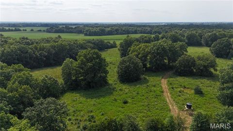 Tiny photo for 28450 Highway M, Middletown, MO 63359 (MLS # 25054742)