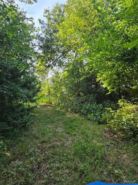 Tiny photo for 28450 Highway M, Middletown, MO 63359 (MLS # 25054742)