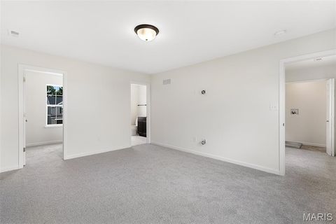 Tiny photo for 384 Butterfly Garden Lane, Wentzville, MO 63385 (MLS # 26004162)