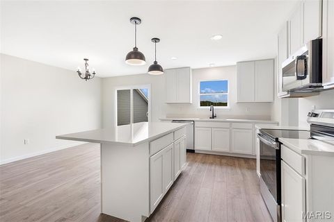 Tiny photo for 384 Butterfly Garden Lane, Wentzville, MO 63385 (MLS # 26004162)