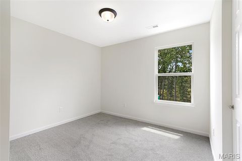 Tiny photo for 384 Butterfly Garden Lane, Wentzville, MO 63385 (MLS # 26004162)