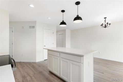 Tiny photo for 384 Butterfly Garden Lane, Wentzville, MO 63385 (MLS # 26004162)