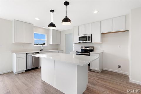 Tiny photo for 384 Butterfly Garden Lane, Wentzville, MO 63385 (MLS # 26004162)