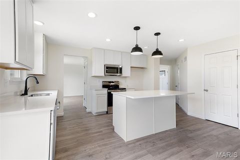 Tiny photo for 384 Butterfly Garden Lane, Wentzville, MO 63385 (MLS # 26004162)