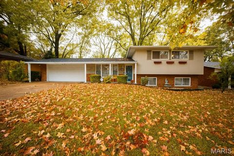 17 Willowbrook Drive Swansea IL 62226