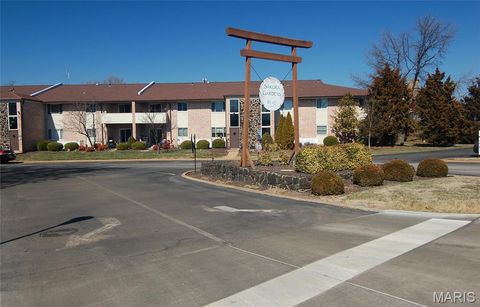 10041 Sakura Drive St Louis MO 63128
