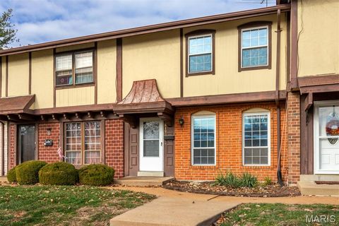 Photo of 619 Rosetta Drive, Florissant, MO 63031 (MLS # 25080314)