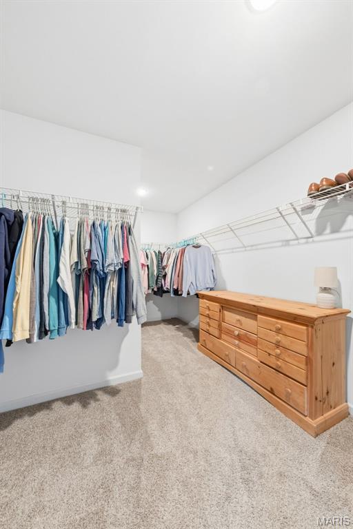 Arbors Of Rockwood - Residential