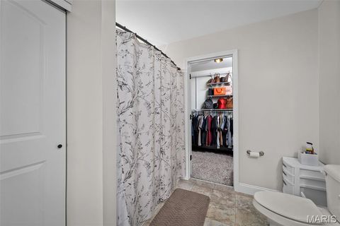 Tiny photo for 272 Hyde Park Avenue, Wentzville, MO 63385 (MLS # 26007404)