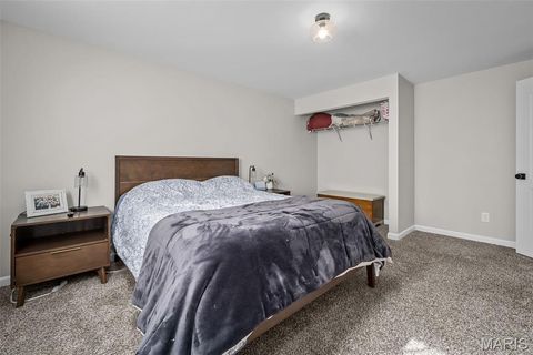 Tiny photo for 272 Hyde Park Avenue, Wentzville, MO 63385 (MLS # 26007404)