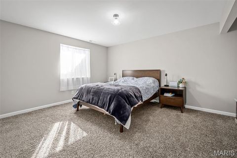 Tiny photo for 272 Hyde Park Avenue, Wentzville, MO 63385 (MLS # 26007404)