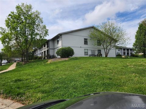Photo of 1615 Summergate Parkway, St Peters, MO 63303 (MLS # 26029876)