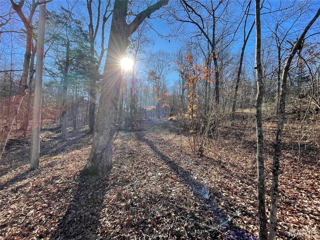 Evergreen Lakes - Land