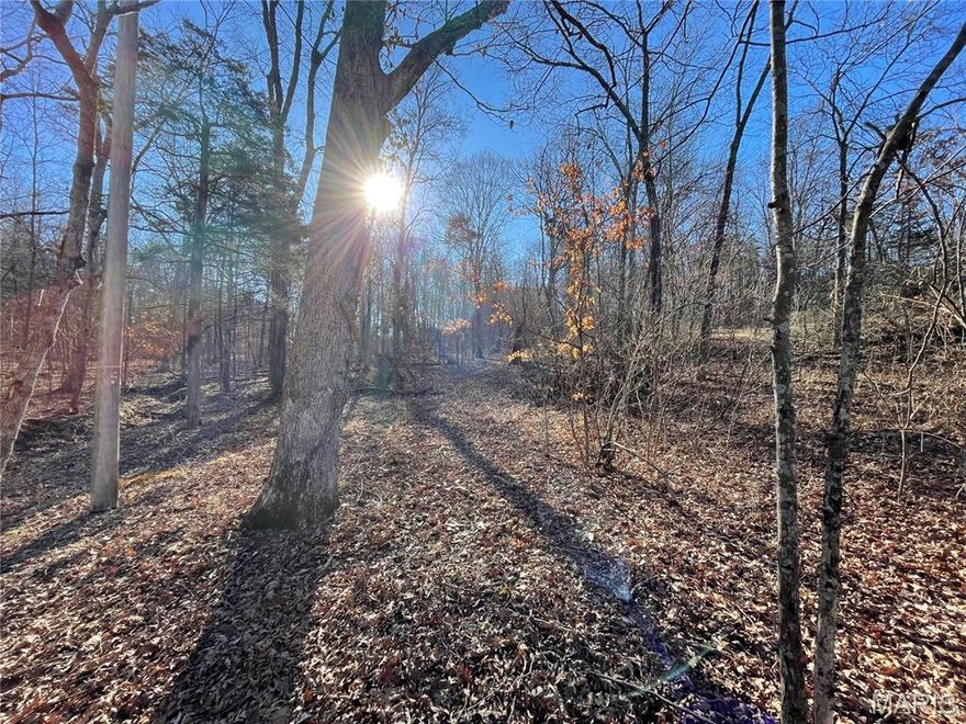 Discover an exceptional opportunity to secure your footprint in the desirable Evergreen Lakes community of Catawissa, MO! This wooded residential lot offers both privacy and convenience, with electric service and access to a community well—helping you save on site costs. Enjoy peaceful surroundings with easy access to Evergreen Lakes' community lakes, Nike Elementary School, outdoor recreation areas like Don Robinson State Park, and Labarque Creek Conservation Area, and only a short drive to the amenities of Pacific, MO. Experience the perfect blend of country living and nearby amenities. Don’t miss your chance to secure this beautiful homesite—schedule your private tour today!