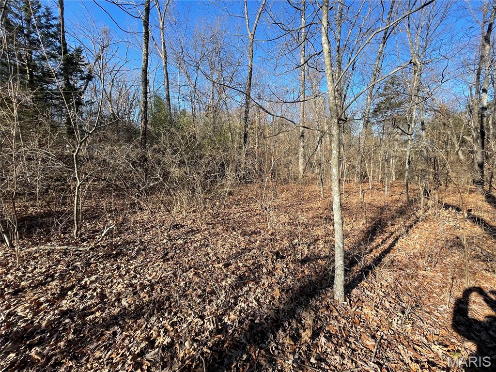 Evergreen Lakes - Land