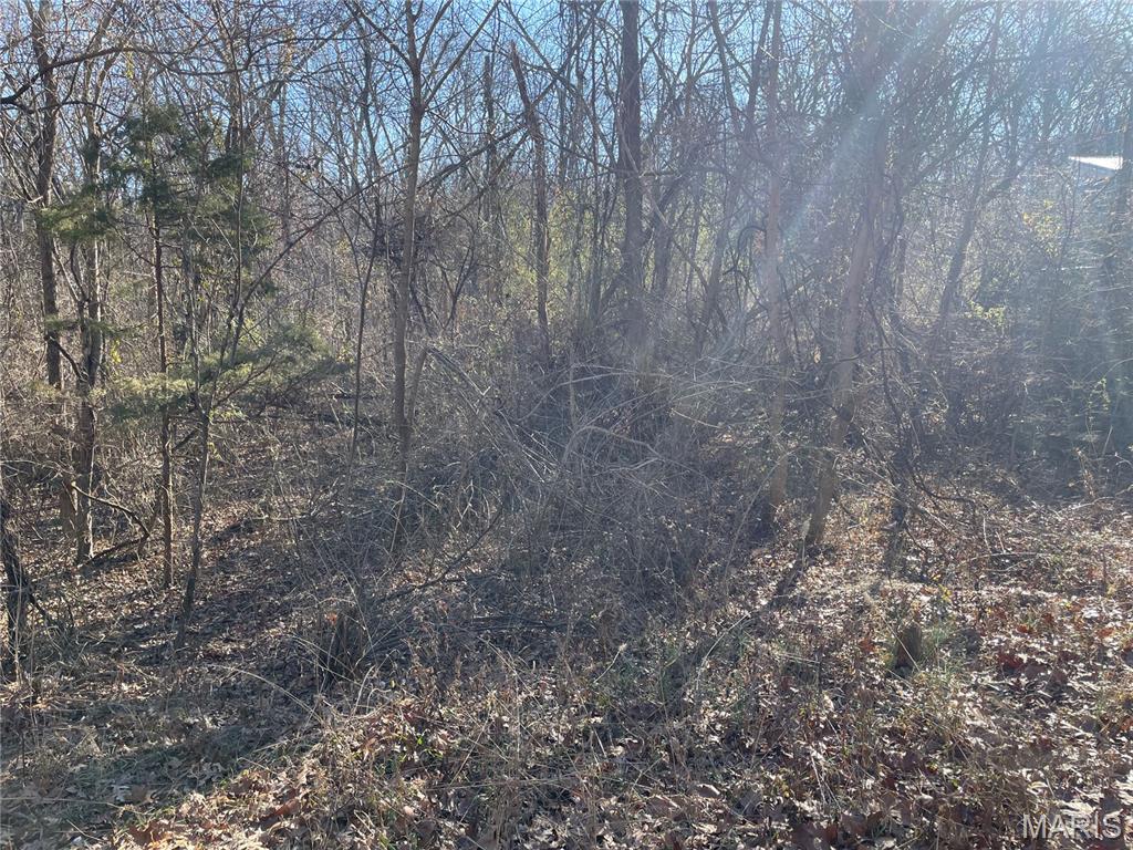 Evergreen Lakes - Land