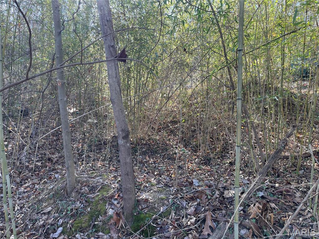 Evergreen Lakes - Land