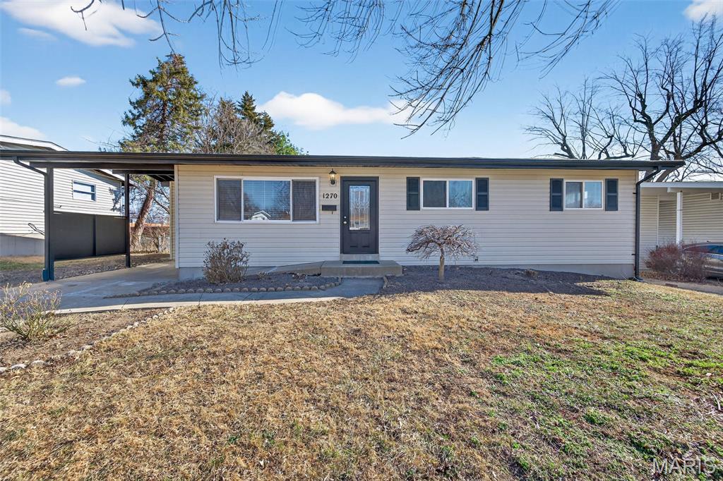 Flamingo Park - Residential