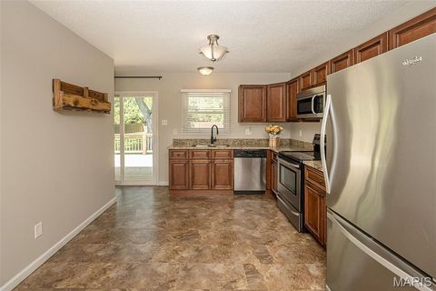 Tiny photo for 809 Lindell Drive, Ballwin, MO 63011 (MLS # 26030003)