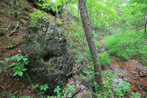 Tiny photo for 000 Warden Lake Drive, Mineral Point, MO 63660 (MLS # 26030791)