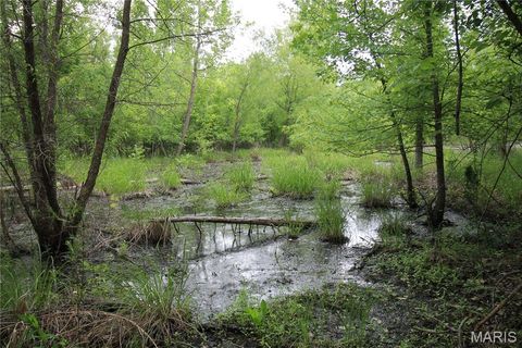 Tiny photo for 000 Warden Lake Drive, Mineral Point, MO 63660 (MLS # 26030791)