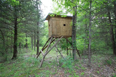 Tiny photo for 000 Warden Lake Drive, Mineral Point, MO 63660 (MLS # 26030791)